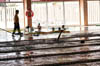IMG_6966